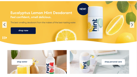 Hint Website